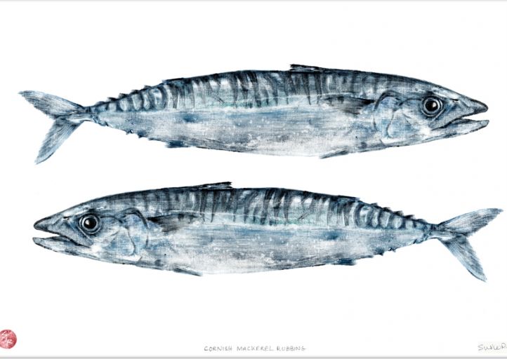 Mackerel Rubbing picture by local Padstow artist Susie Ray
